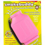 best air purifier for weed smoke