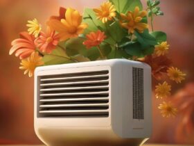 best air purifier for your room