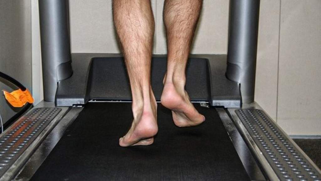 The Biomechanics of Barefoot Walking on Treadmill